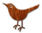 Info Oiseaux