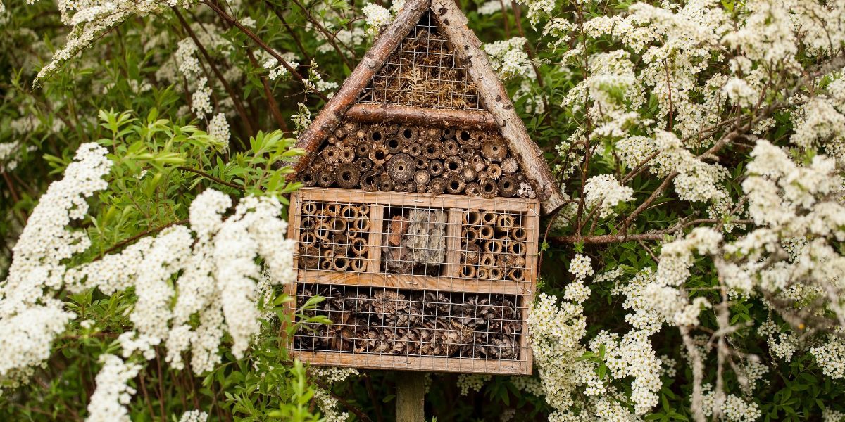 Un hôtel à insectes : c'est quoi au juste ?