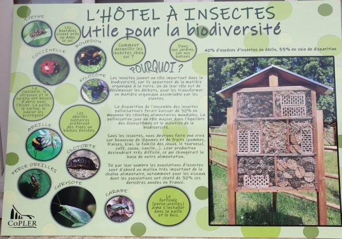 maison insecte en bois avec toit